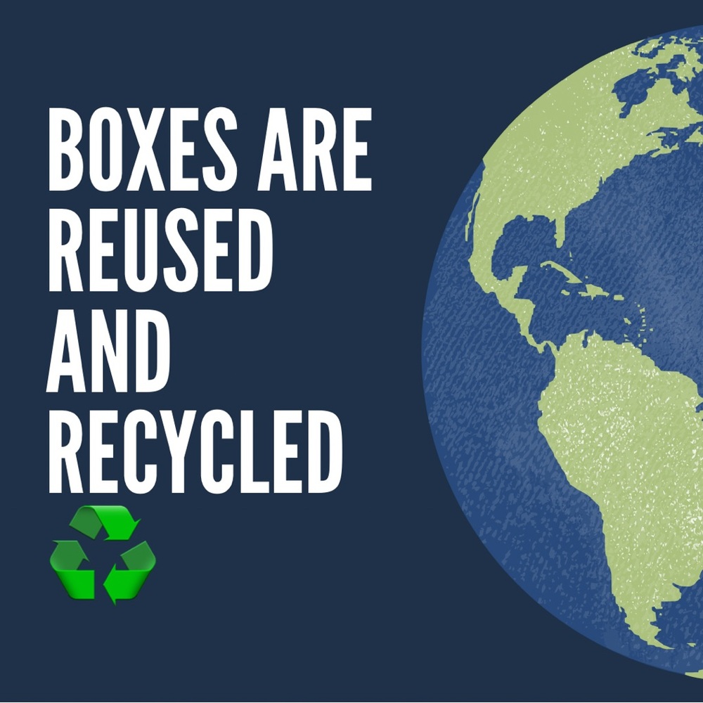 Oak and Reed Via Bum Bag - Purple Belt Bag with Black Strap - Picture 6 of 7